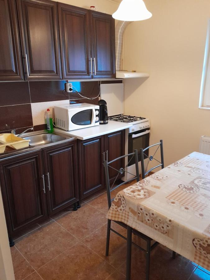 דירות Orşova Casa Emilia מראה חיצוני תמונה